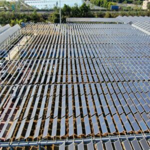 Carbon Steel Agri-PV Solutions